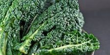 Chou kale