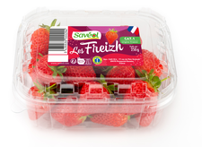 LES FREIZH FAVORI