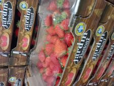 FRAISE