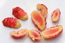 Oca
