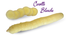 Carottes blanches