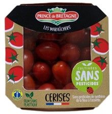 Tomates cerises cultivées sans pesticides
