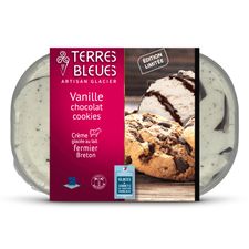 Crème glacée Vanille Chocolat Cookies