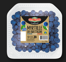 Myrtille de Bretagne