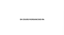 Morgane BIO IPA