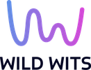 WILD WITS GAMES - Produit en Bretagne