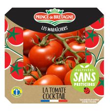 Tomate cocktail cultivée sans pesticides