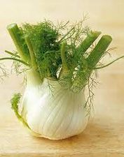 Fenouil