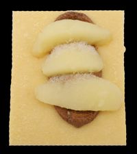 Tartelette Cara poire amande cacao