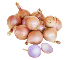 OIGNON ROSE DE BRETAGNE